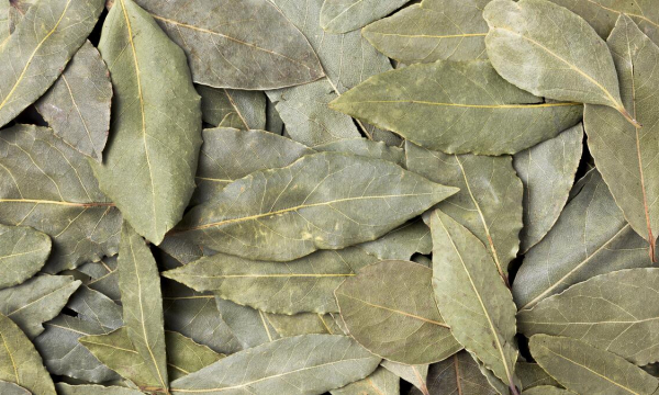 Закиньте лавровый лист в машинку при стирке - химия больше не понадобится