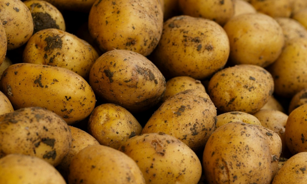 Как предотвратить прорастание и гниение картофеля: положите в ящик несколько этих листиков